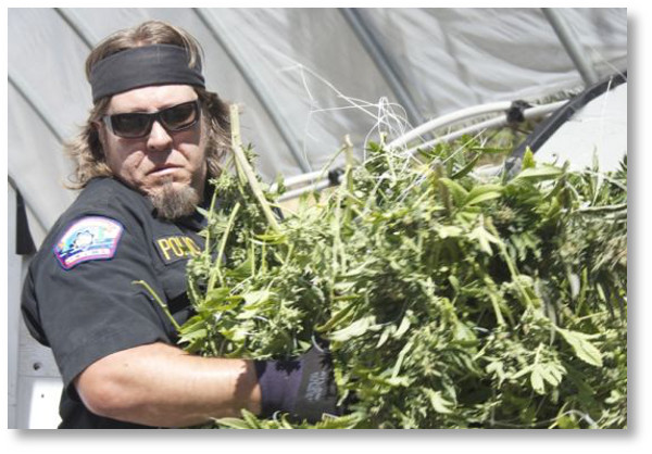 pot-crops-hbtv-hemp-beach-tv