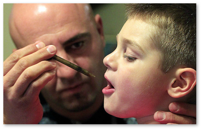 Konoplya spasla rebenka ot ehpilepsii640 3883310168381358