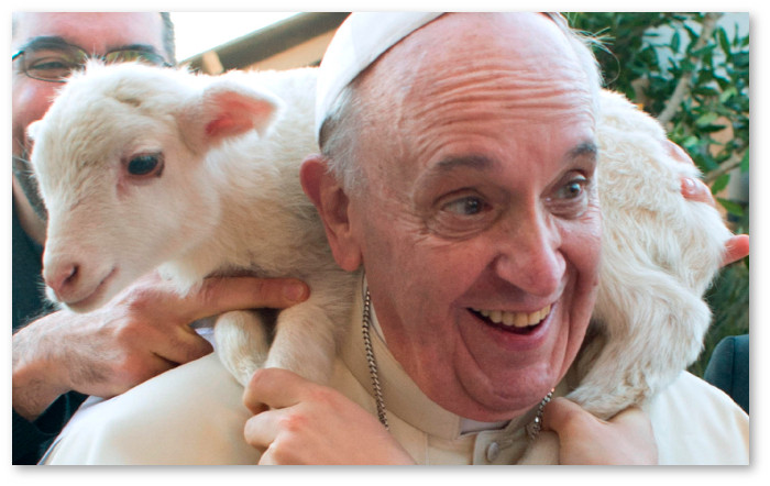 o-POPE-FRANCIS-facebook