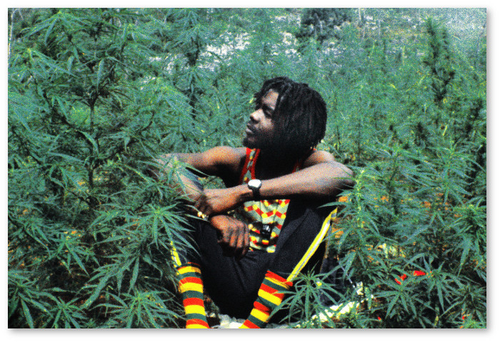 o-MARIJUANA-JAMAICA-facebook