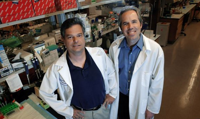 cannabis-cancer-researchers-2-11-08