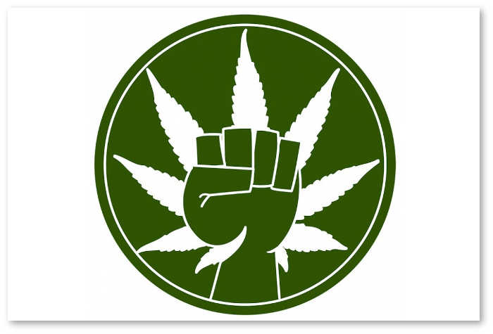 marijuana-legalization-news
