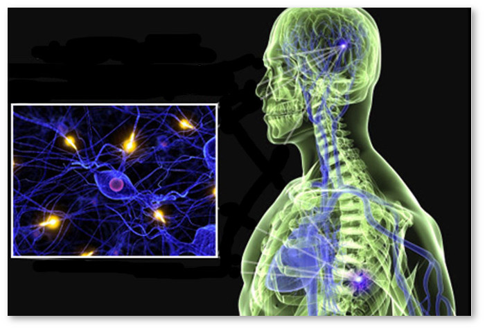 multiple-sclerosis-treatment-india