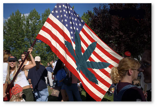 SS marijuana america cover