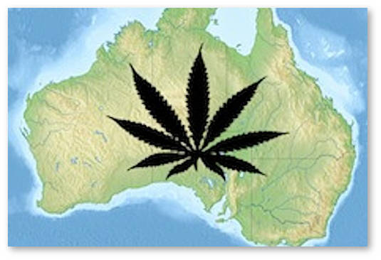 australia-marijuana
