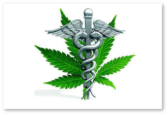 mmma-leaf-and-symbol full