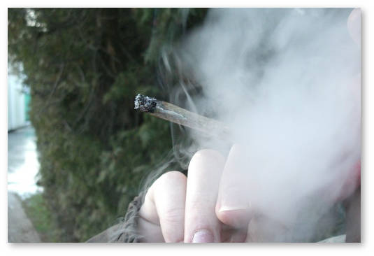 ya-probuyu-marihuanu-v-perviy-ras