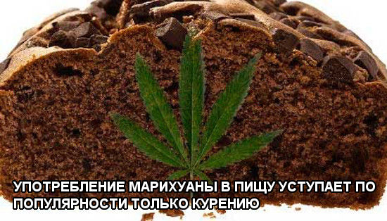Употребление марихуаны в пищу уступает по популярности только курению brauni-s-marixuanoj