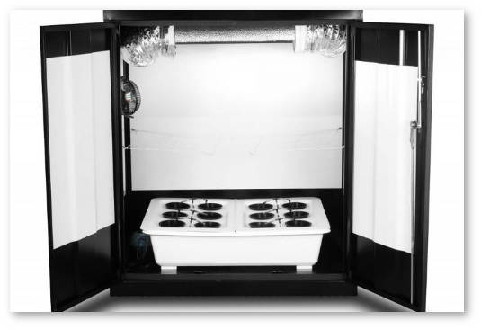 idealnyj-grou-boks-dlya-konopli