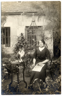 legalizaciya-konopli-v-evrope-i-amerike-1