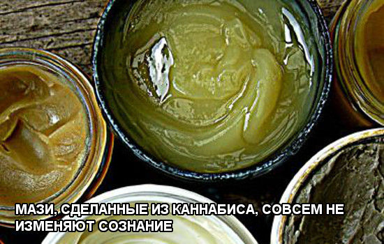 Мази, сделанные из каннабиса, совсем не изменяют сознание mazi-na-osnove-konopli