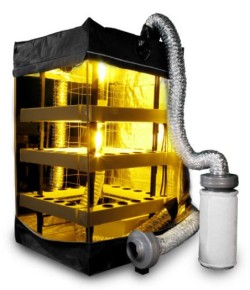 mnogoyarusnyj-grou-boks