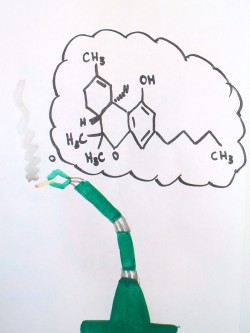 veshhestvo-konopli-tgk