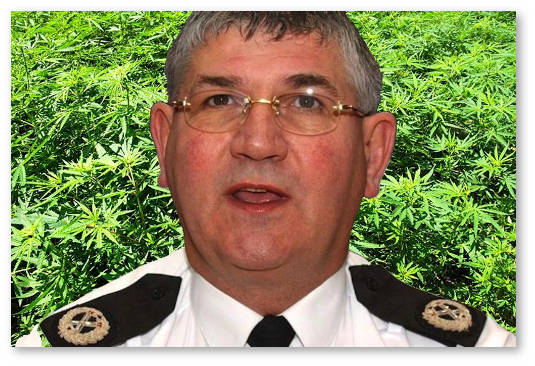 dekriminalizaciya-vyrashchivaniya-v-anglii