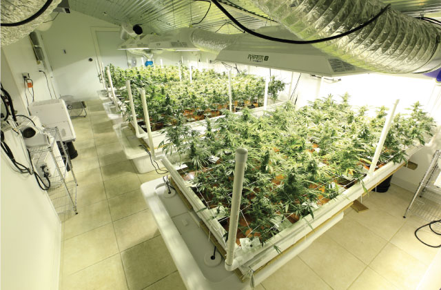 gidroponika-dlya-nachinayushchih-2