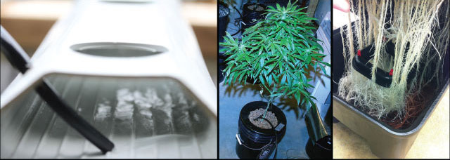 gidroponika-dlya-nachinayushchih-3