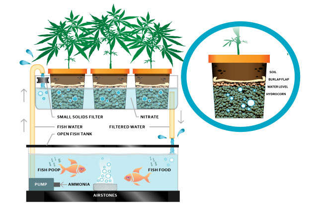 gidroponika-dlya-nachinayushchih-4