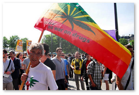 prizyvy-k-dekriminalizacii-marihuany