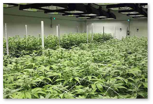 bespochvennye-smesi-1