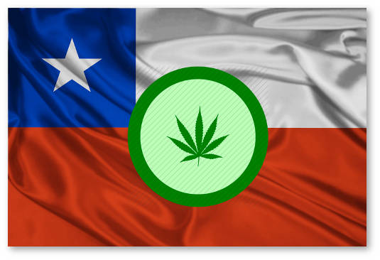 dekriminalizaciya-marihuany-v-chili