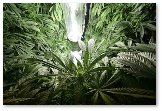 ehlektroprovodka-dlya-grouboksa