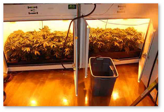 gotovyj-grouboks-dlya-novichkov