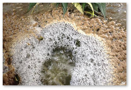 listya-konopli-kak-udobrenie