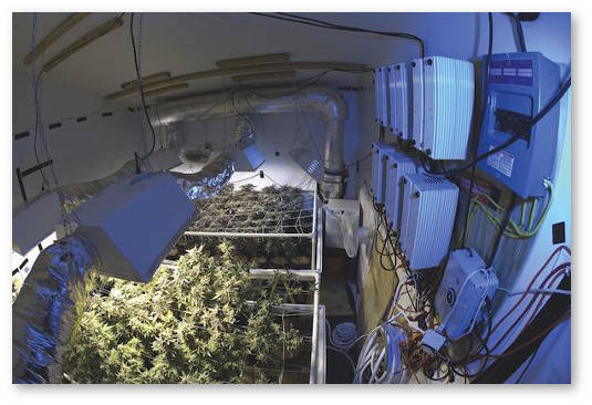 otklyuchenie-lamp-narushilo-cikl