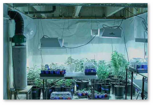 srok-zhizni-ugolnogo-filtra