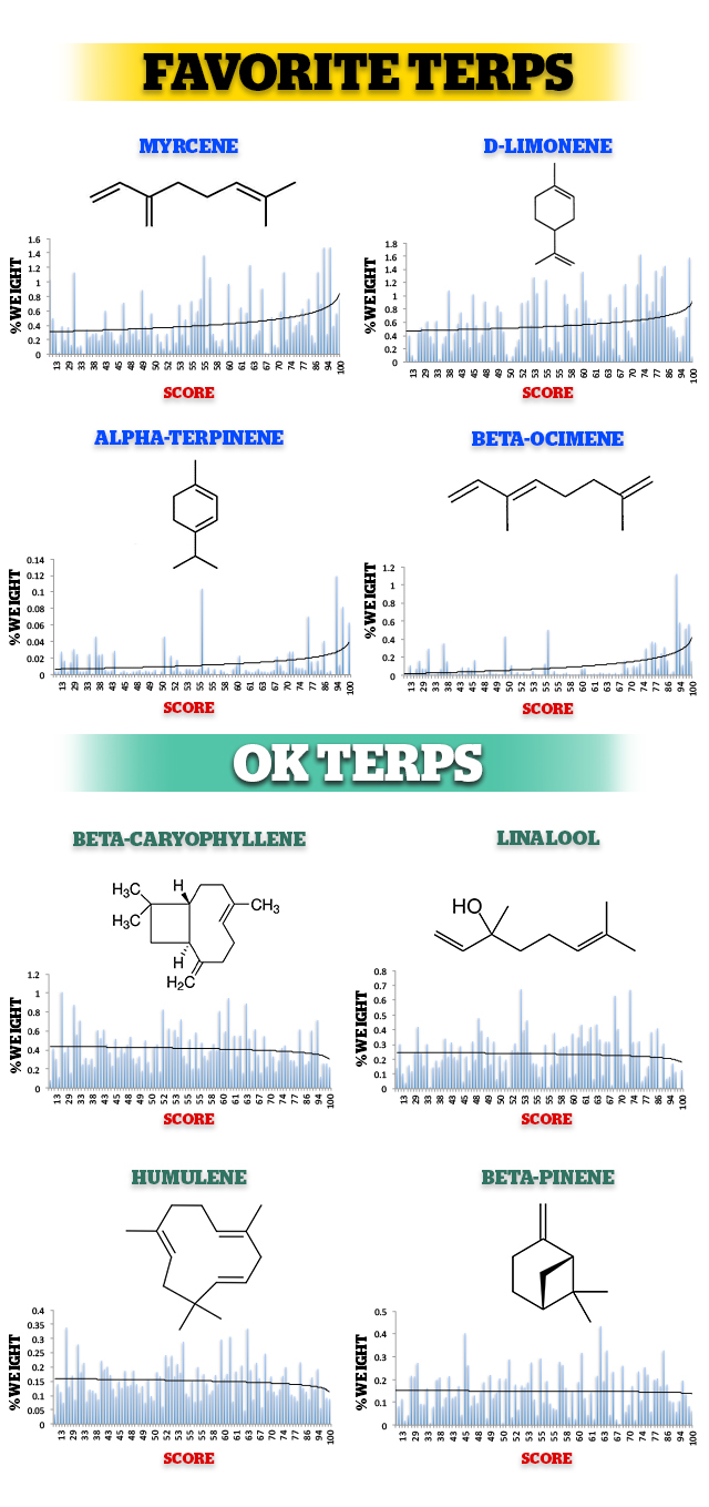terpeny-v-marihuane-2