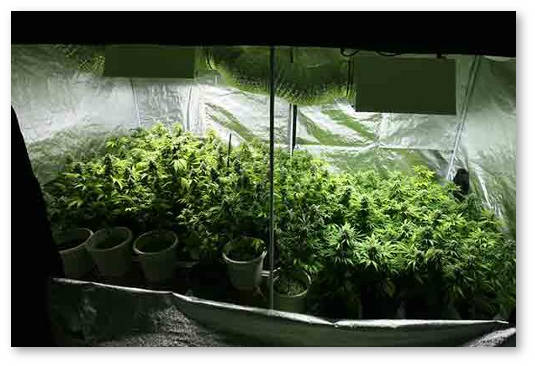 ventilyaciya-v-groubokse