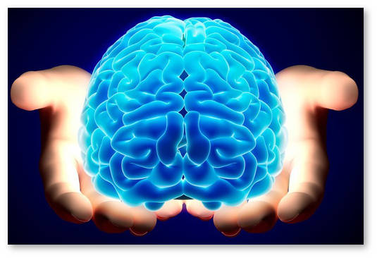 vredna-li-konoplya-dlya-mozga