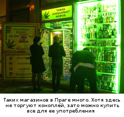 Таких магазинов в Праге много. Хотя здесь не торгуют коноплей, зато можно купить все для ее употребления
