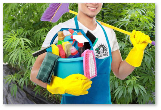 chistota-v-groubokse