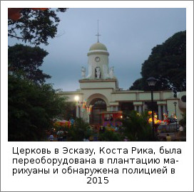 gde-vyrashchivayut-marihuanu-2