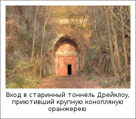 gde-vyrashchivayut-marihuanu-3