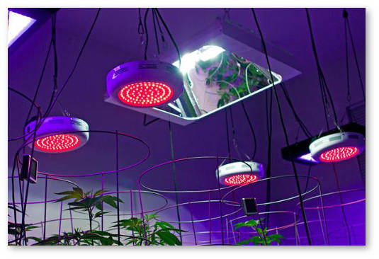 harakteristiki-lamp-dlya-grova