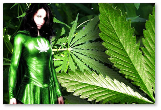 konoplya-i-spajsy-v-buryatii