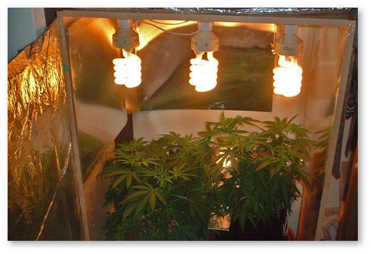 majlar-svetootrazhayushchaya-plenka-analog-penofola