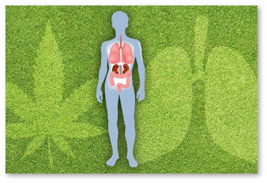 mukoviscidoz-kistoznyj-fibroz-1