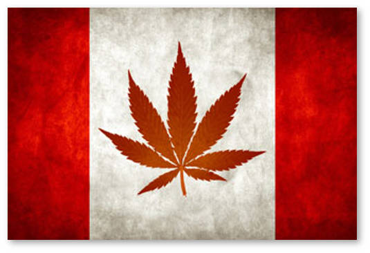 kanada-legalizuet-konoplyu