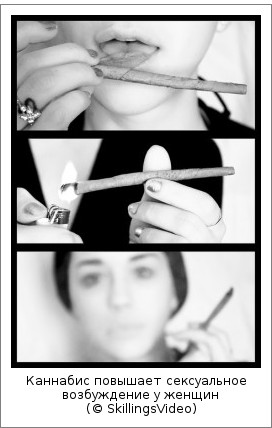 Каннабис увеличивает сексуальное возбуждение у женщин (© SkillingsVideo)