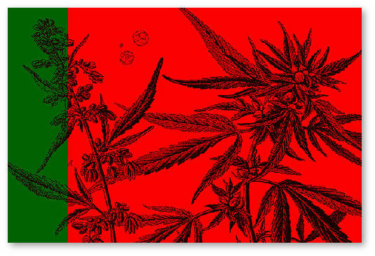 portugaliya-narkotiki