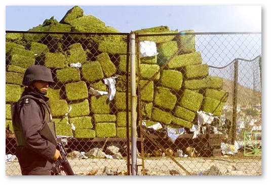 dea legalnyj status marihuany