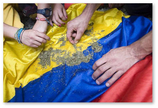 kolumbiya marihuana kokain