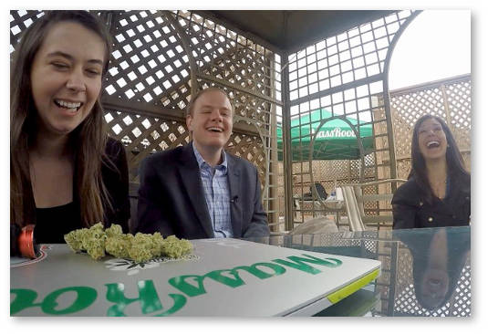 marihuana v obedennyj pereryv