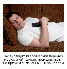 Так выглядит классический передоз марихуаной. Бонг на журнальном столике в кадр не попал