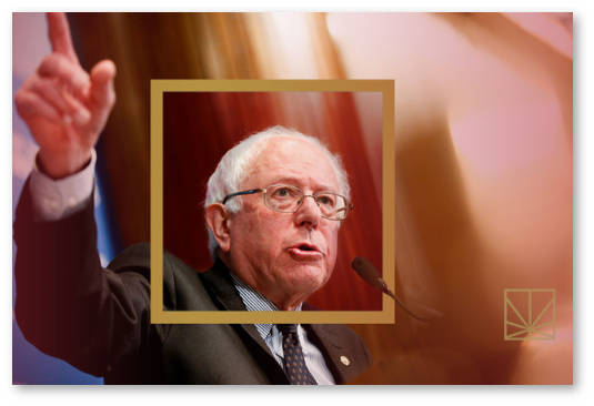 sanders hochet legalizovat konoplyu