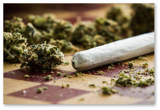 smertnost ot marihuany 16 01