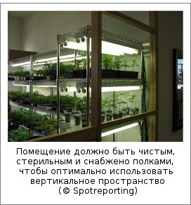 Помещение должно быть чистым, стерильным и снабжено полками, чтобы оптимально использовать вертикальное пространство (© Spotreporting)